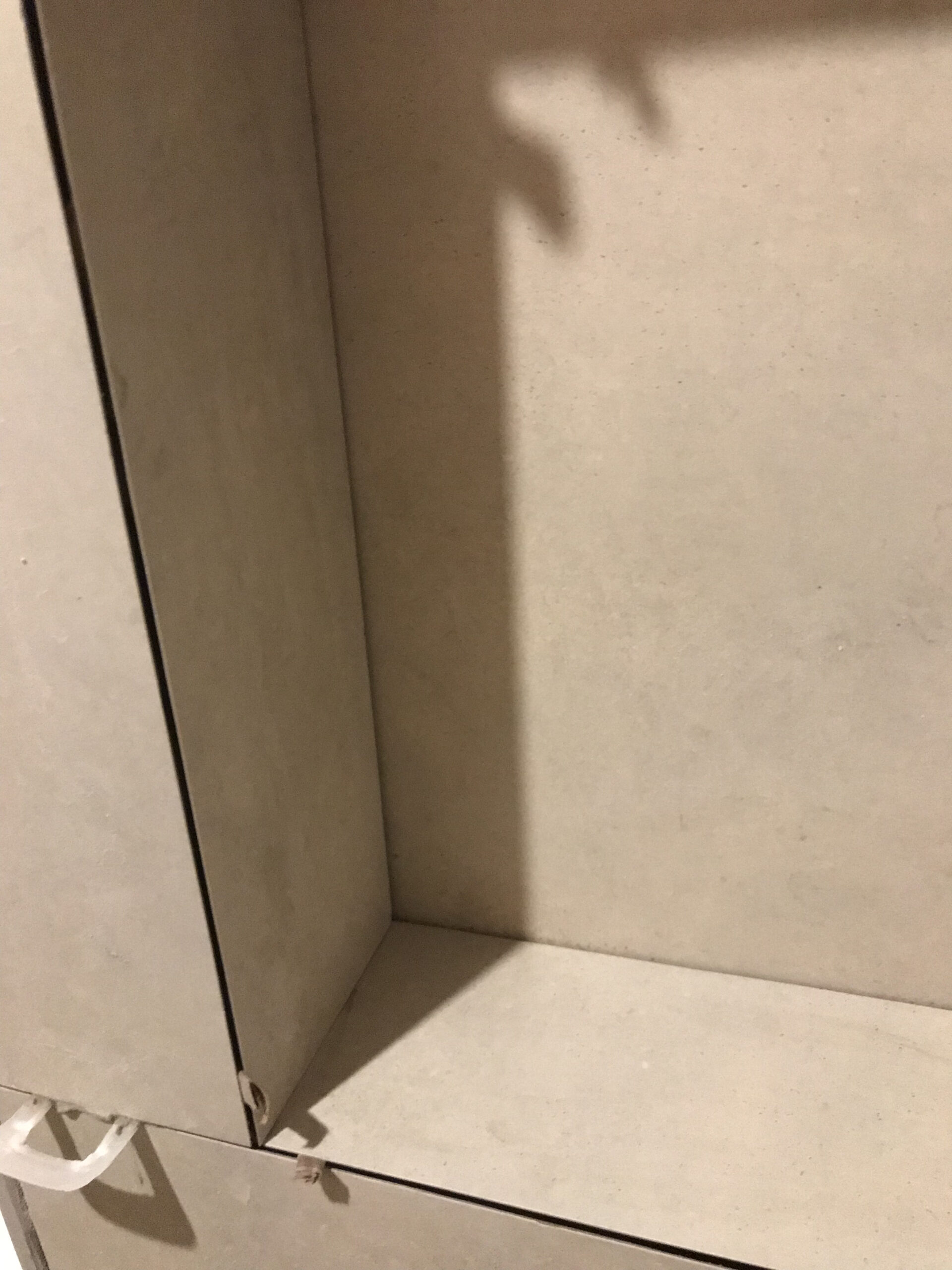 nicho scaled